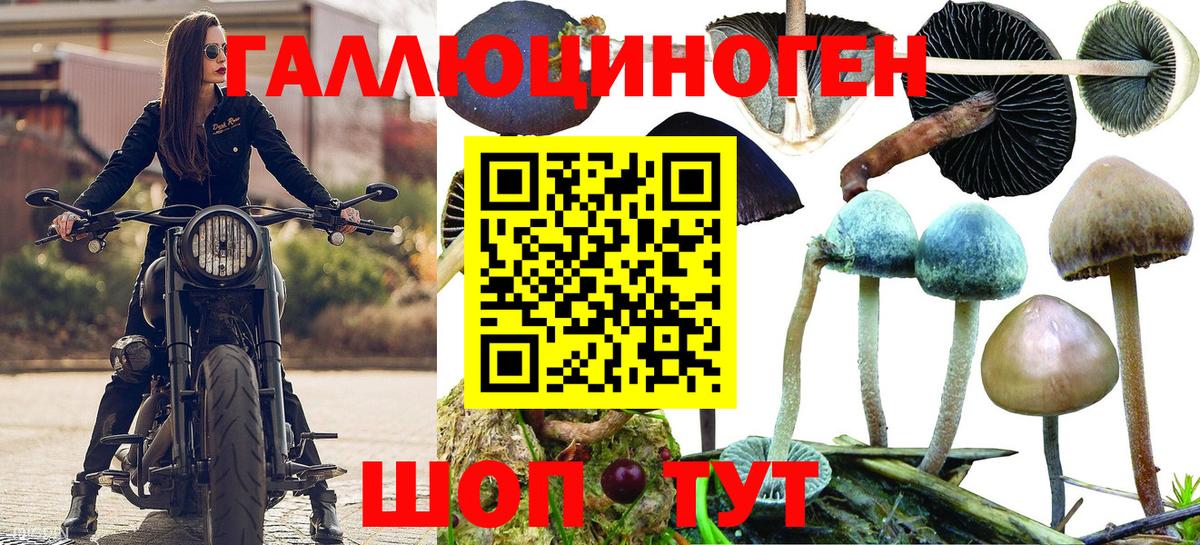 Псилоцибиновые грибы Magic Shrooms Клинцы